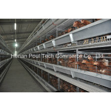 New Type Poul Tech Layer Chicken Cage System